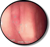 豊島園大腸肛門科