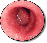 豊島園大腸肛門科