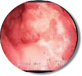 豊島園大腸肛門科