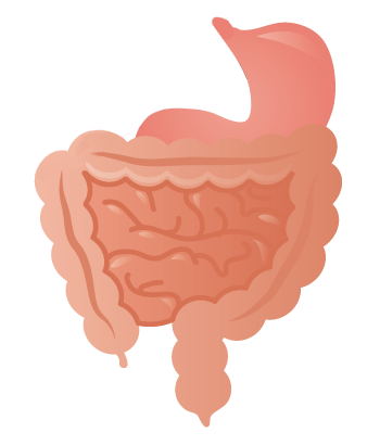 豊島園大腸肛門科